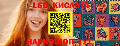 дмт Пенза