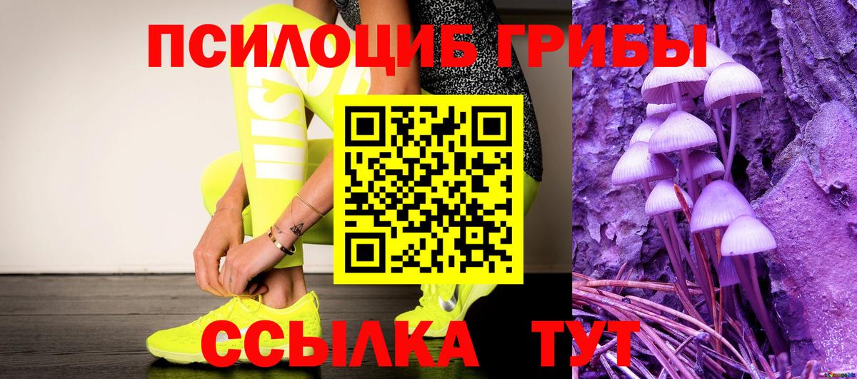 Галлюциногенные грибы прущие грибы Тольятти