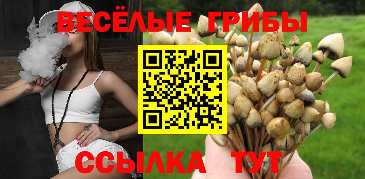 Псилоцибиновые грибы мухоморы  Тольятти  Псилоцибиновые грибы мухоморы 